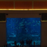 Atlantis - Dubai 2010