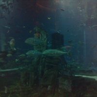 Atlantis - Dubai 2010